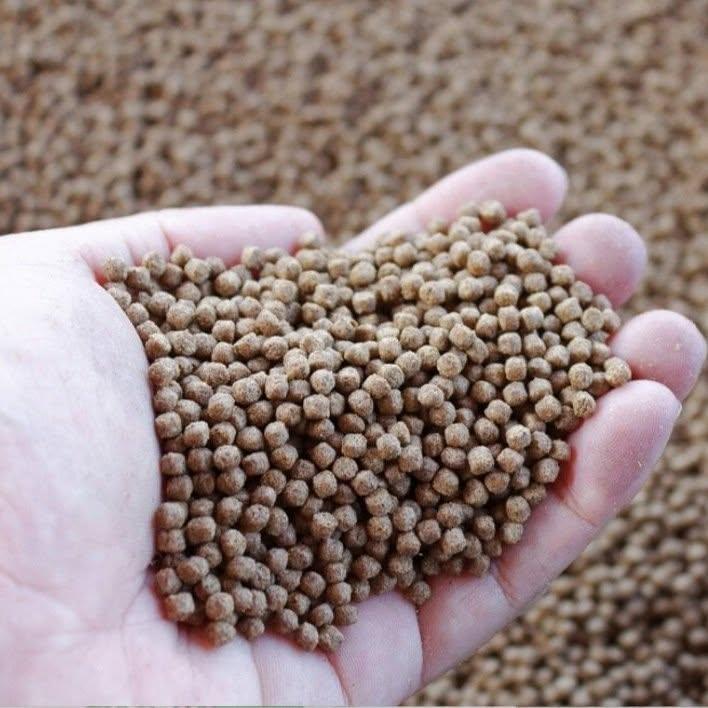 Sản xuất kinh doanh thức ăn thủy sản