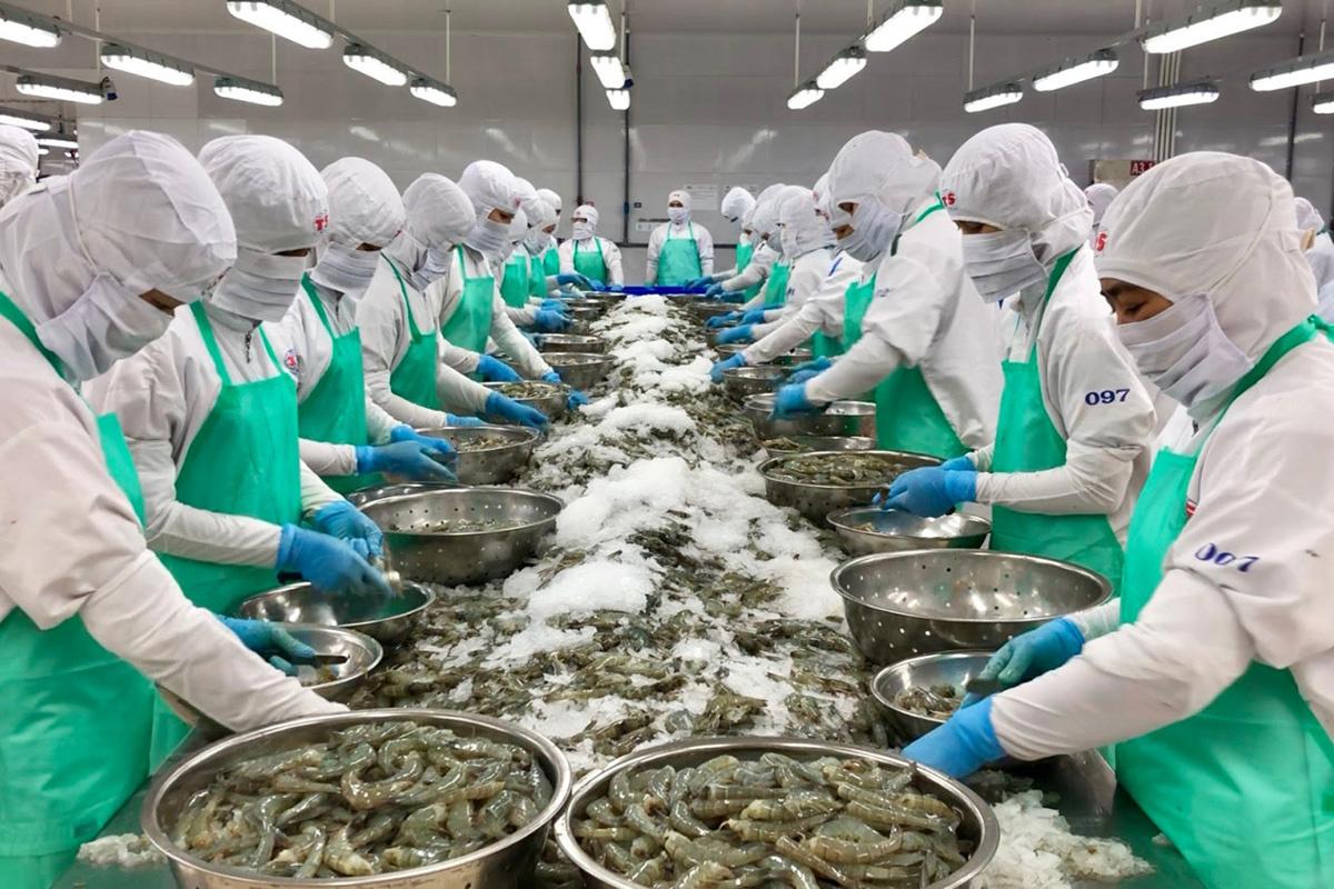 Chế biến xuất khẩu thủy hải sản